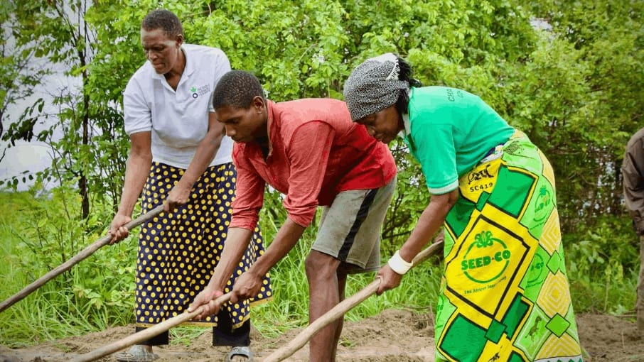 Clare, 72 ans et agricultrice en Zambie, plante des cultures résistantes à la sécheresse pour lutter contre le changement climatique.